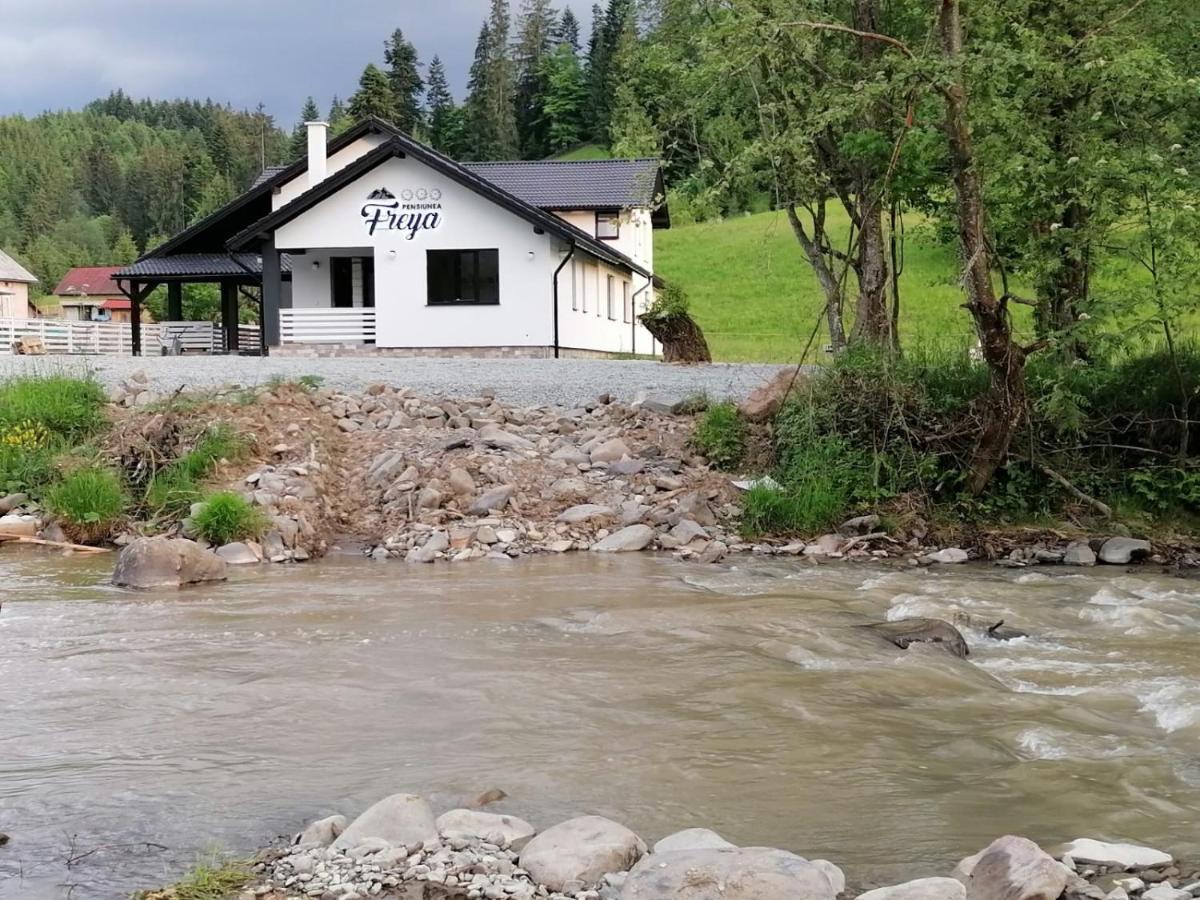 Pensiunea Freya Colibiţa Exterior foto